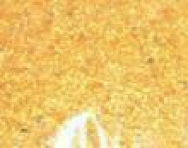 20300_1.jpg