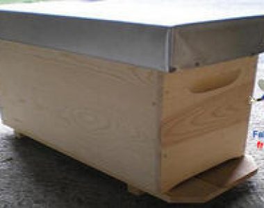 30850_1.jpg